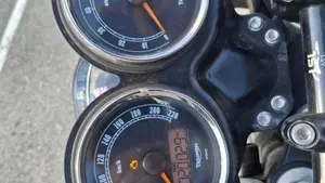 Triumph Bonneville T100 SE (2014)  (8)