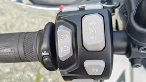 Triumph Tiger 900 Rally Pro (2020 - 23)  (4)