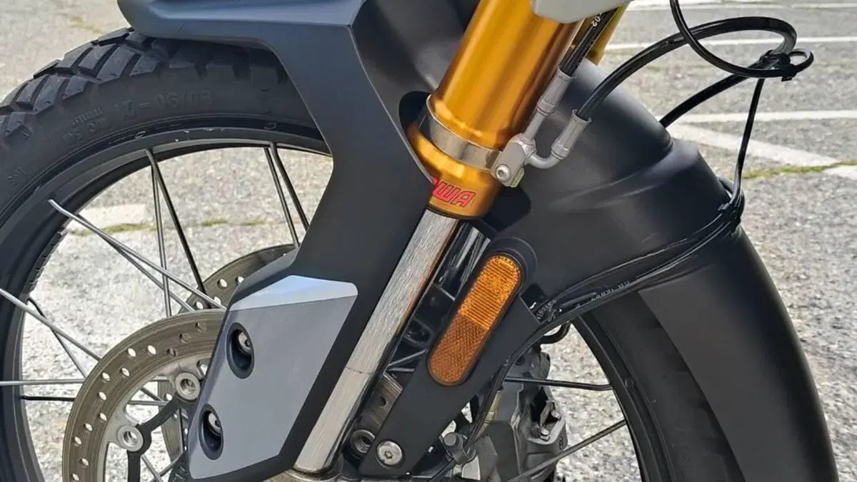 Triumph Tiger 900 Rally Pro (2020 - 23)  (9)