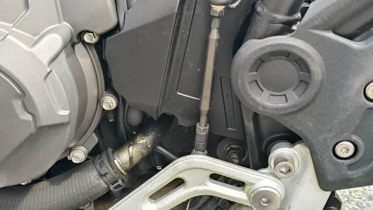 Triumph Tiger 900 Rally Pro (2020 - 23)  (6)