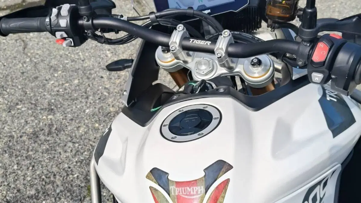 Triumph Tiger 900 Rally Pro (2020 - 23)  (11)