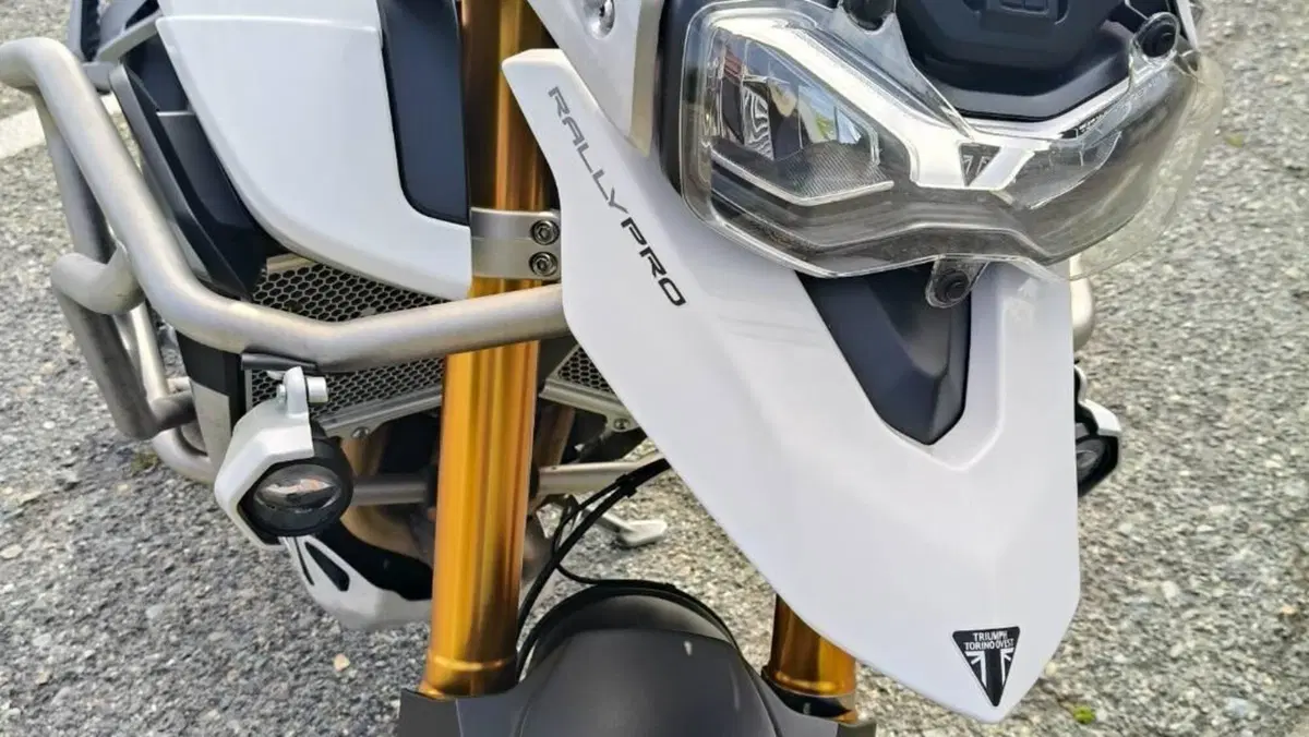 Triumph Tiger 900 Rally Pro (2020 - 23)  (12)