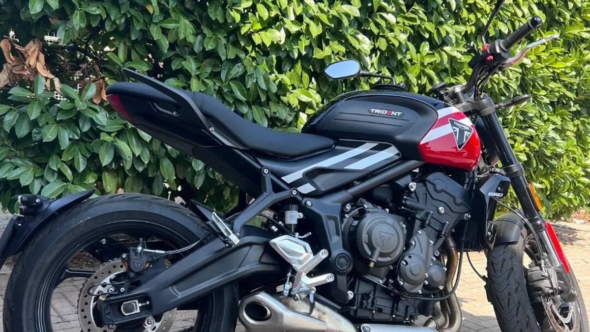 Triumph Trident 660 (2025)  (3)