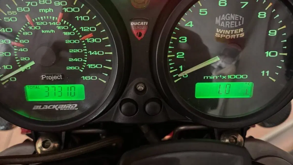 Ducati Monster 620 (2003 - 06)  (3)
