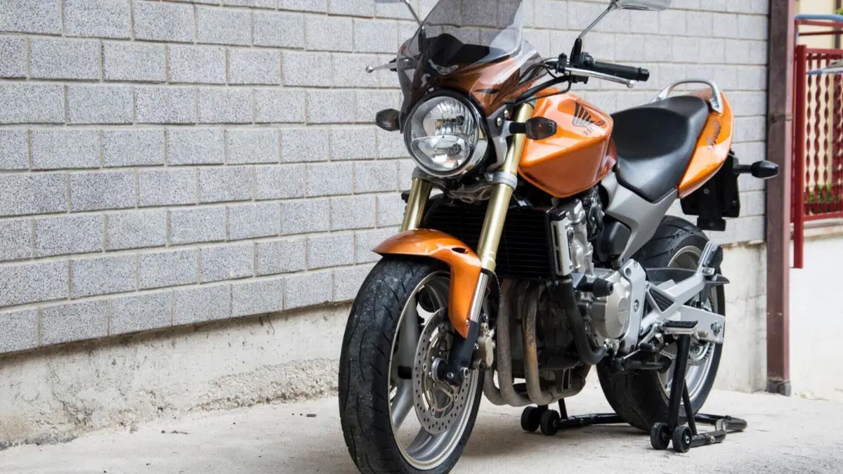Honda Hornet 600 (2005 - 06)  (3)