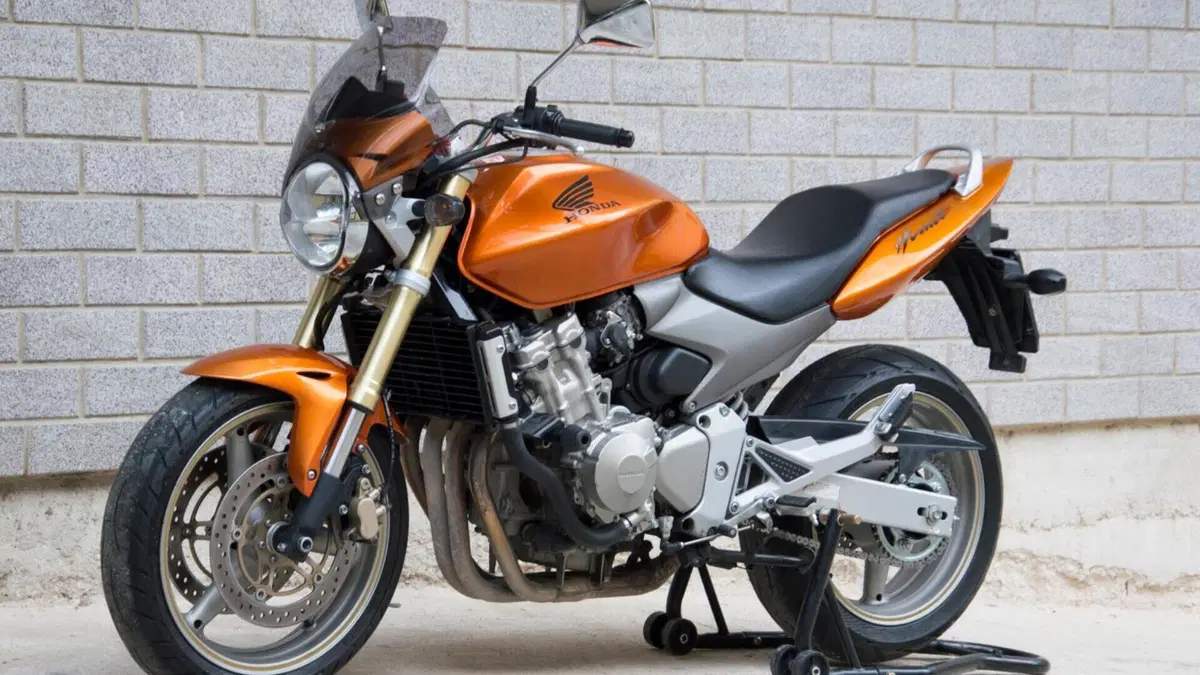 Honda Hornet 600 (2005 - 06)  (4)