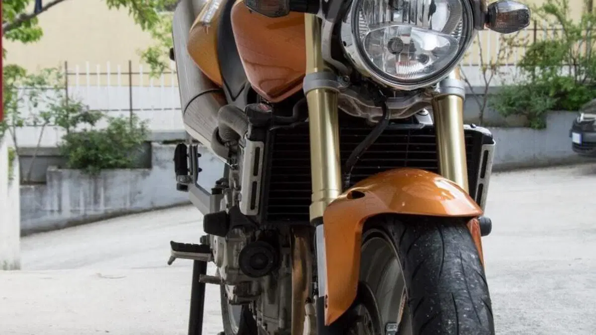 Honda Hornet 600 (2005 - 06)  (5)
