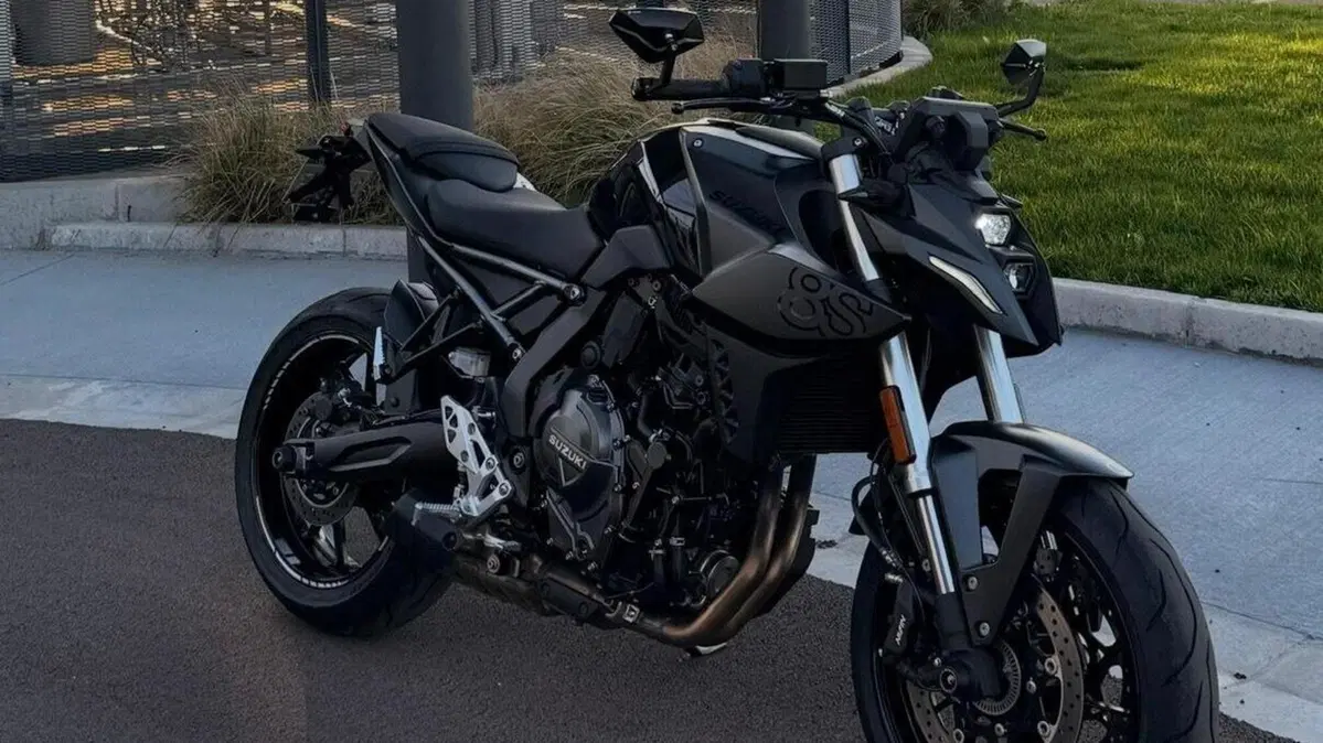 Suzuki GSX-8S (2023 - 24)  (2)