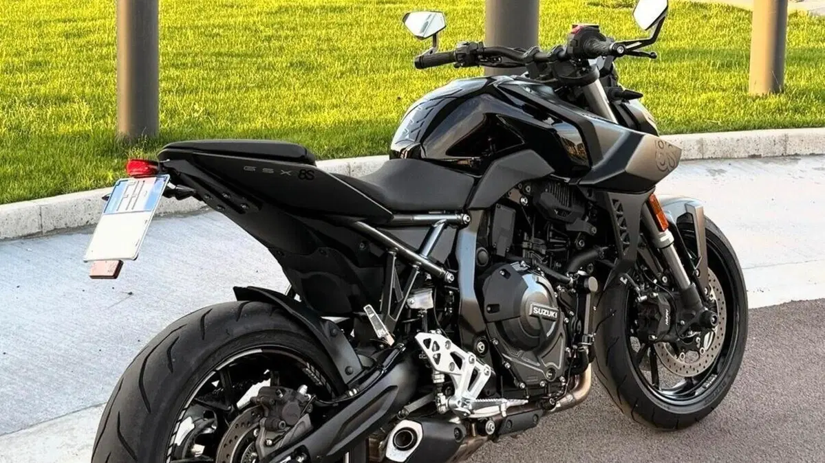 Suzuki GSX-8S (2023 - 24)  (3)