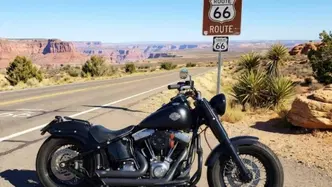 Harley-Davidson 1690 Slim (2011 - 16) - FLS