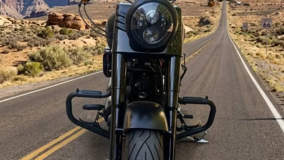 Harley-Davidson 1690 Slim (2011 - 16) - FLS  (2)