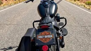 Harley-Davidson 1690 Slim (2011 - 16) - FLS  (3)