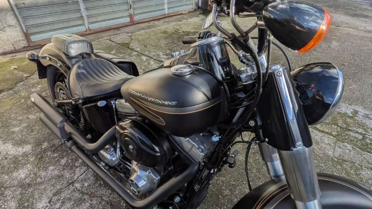 Harley-Davidson 1690 Slim (2011 - 16) - FLS 