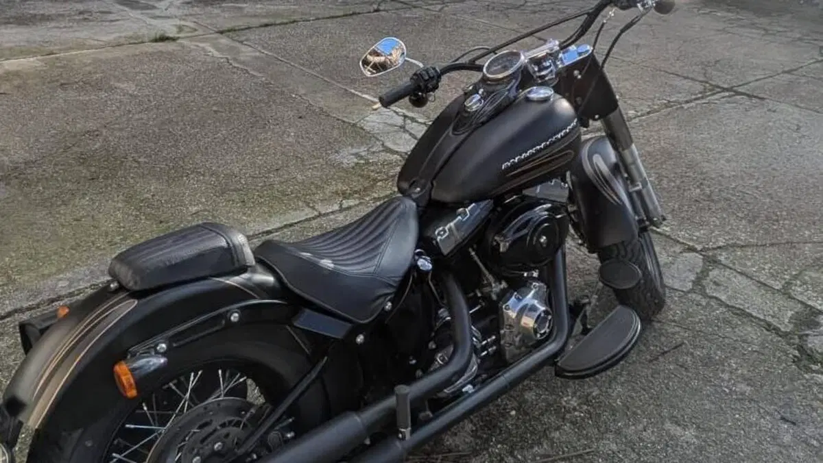 Harley-Davidson 1690 Slim (2011 - 16) - FLS  (2)