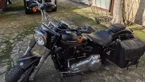 Harley-Davidson 1690 Slim (2011 - 16) - FLS  (3)