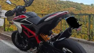 Ducati Hypermotard 821 SP (2013 - 15)  (5)