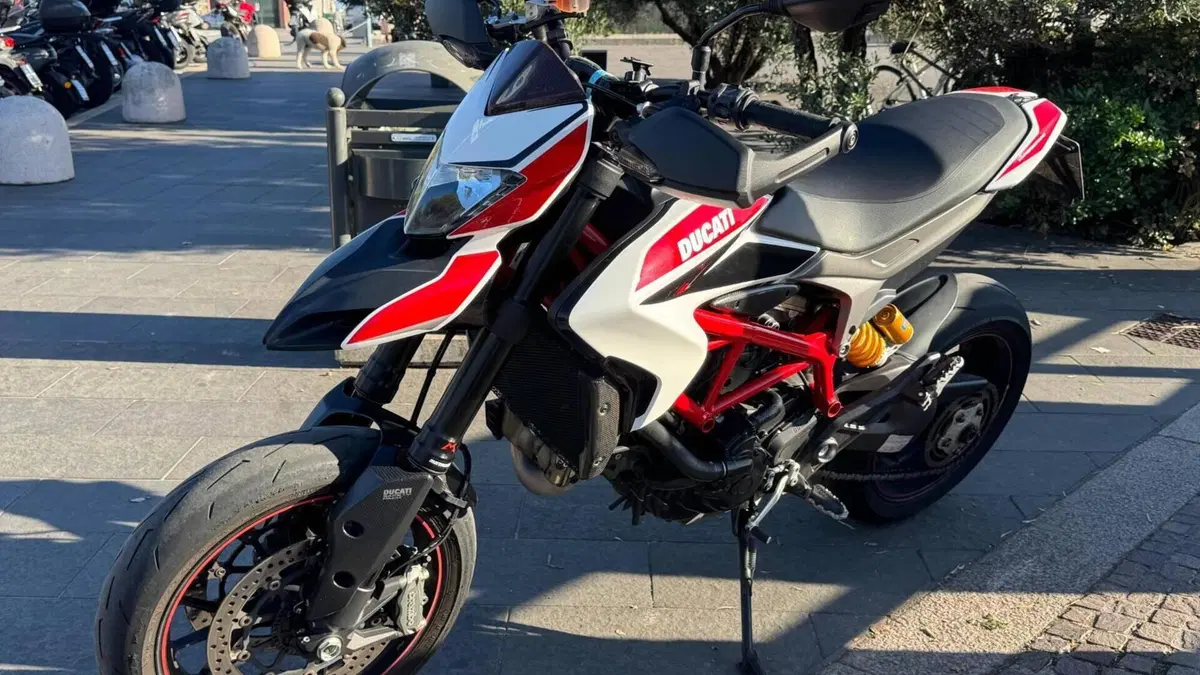 Ducati Hypermotard 821 SP (2013 - 15)  (8)
