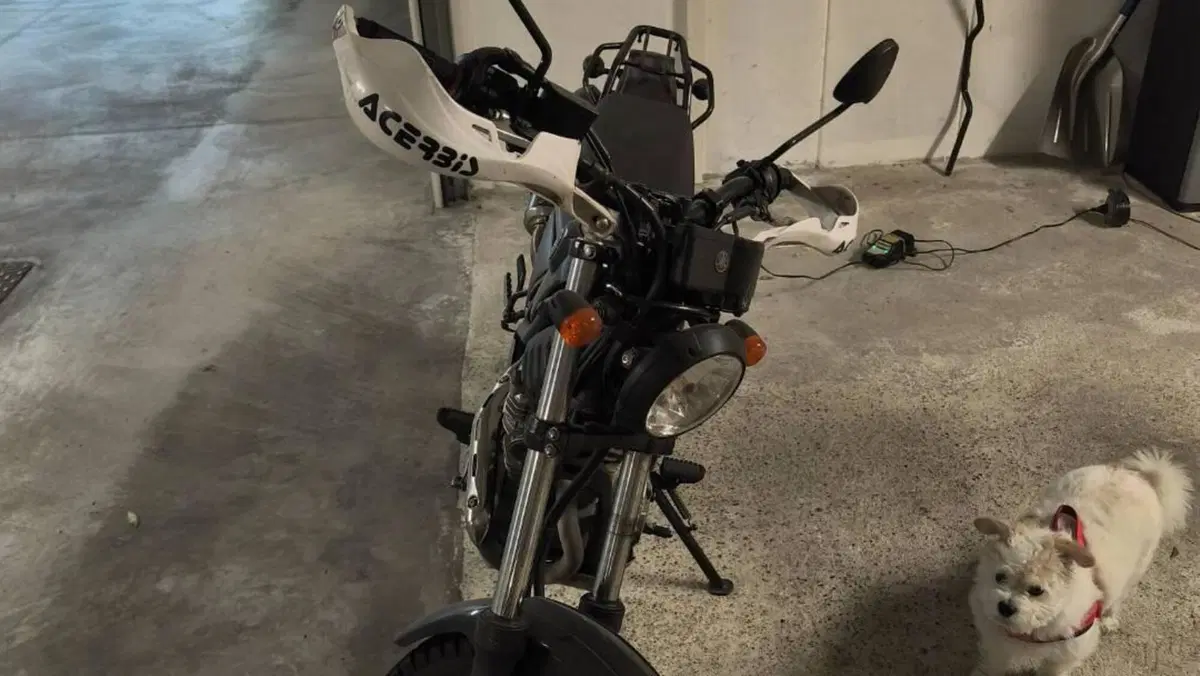 Yamaha Tricker (2006 - 13)  (6)