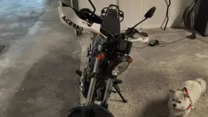 Yamaha Tricker (2006 - 13)  (6)