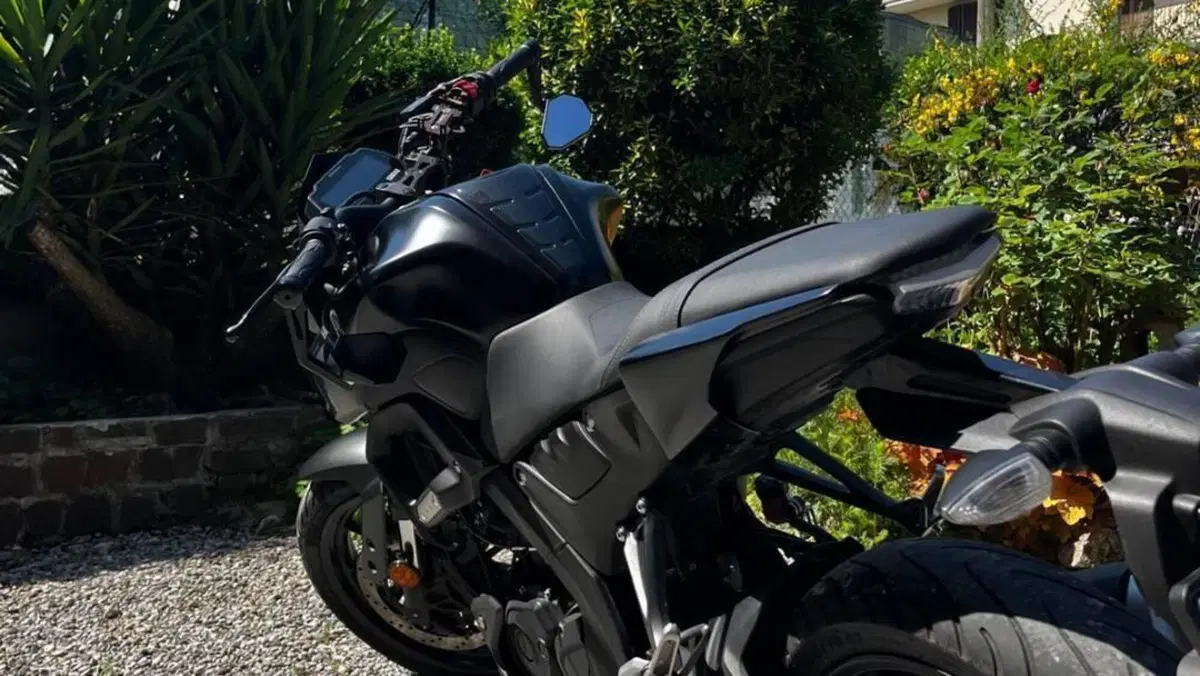 Yamaha MT-125 (2021 - 24)  (5)