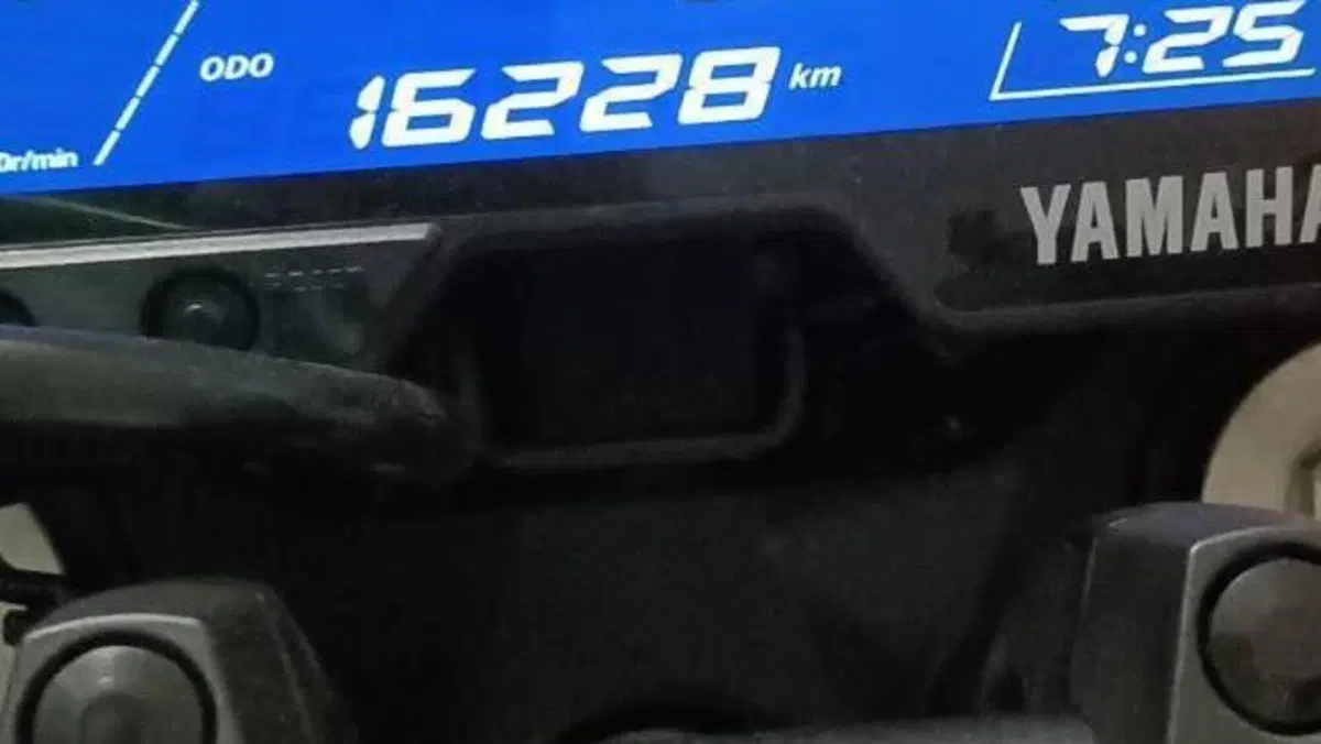 Yamaha MT-125 (2021 - 24)  (7)