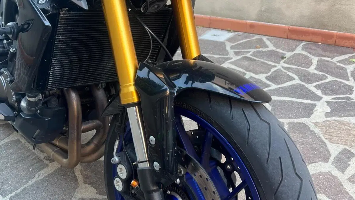 Yamaha MT-09 SP (2018 - 20)  (5)