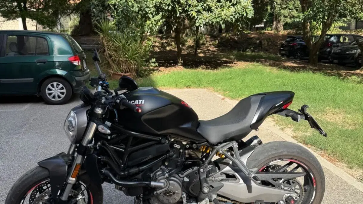 Ducati Monster 821 (2018 - 20)  (3)