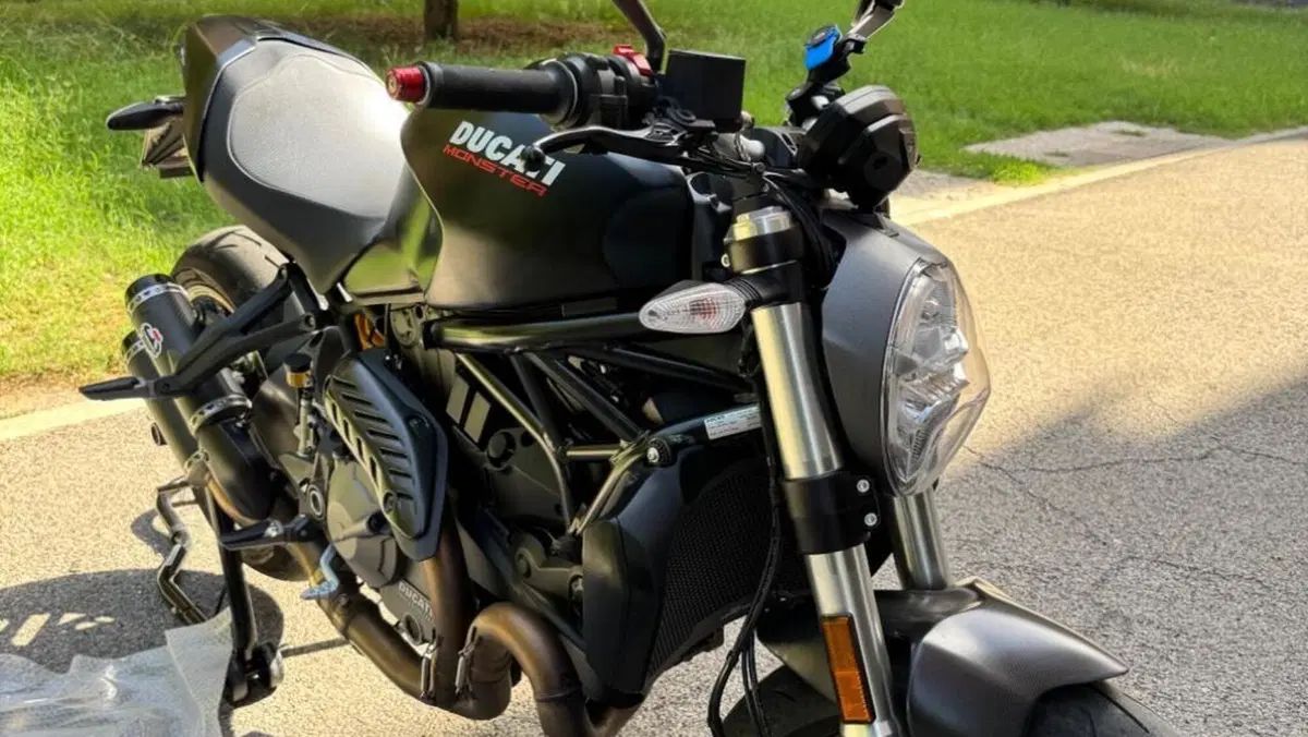 Ducati Monster 821 (2018 - 20)  (4)