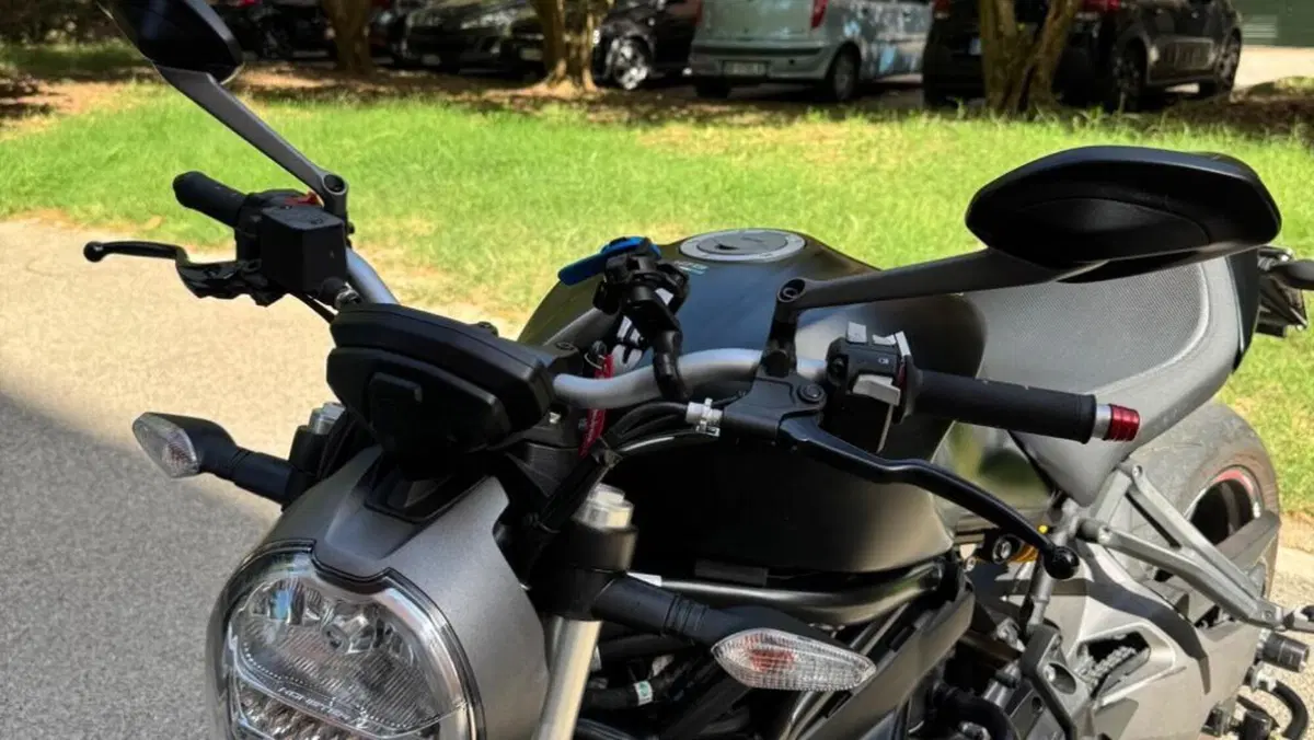 Ducati Monster 821 (2018 - 20)  (5)