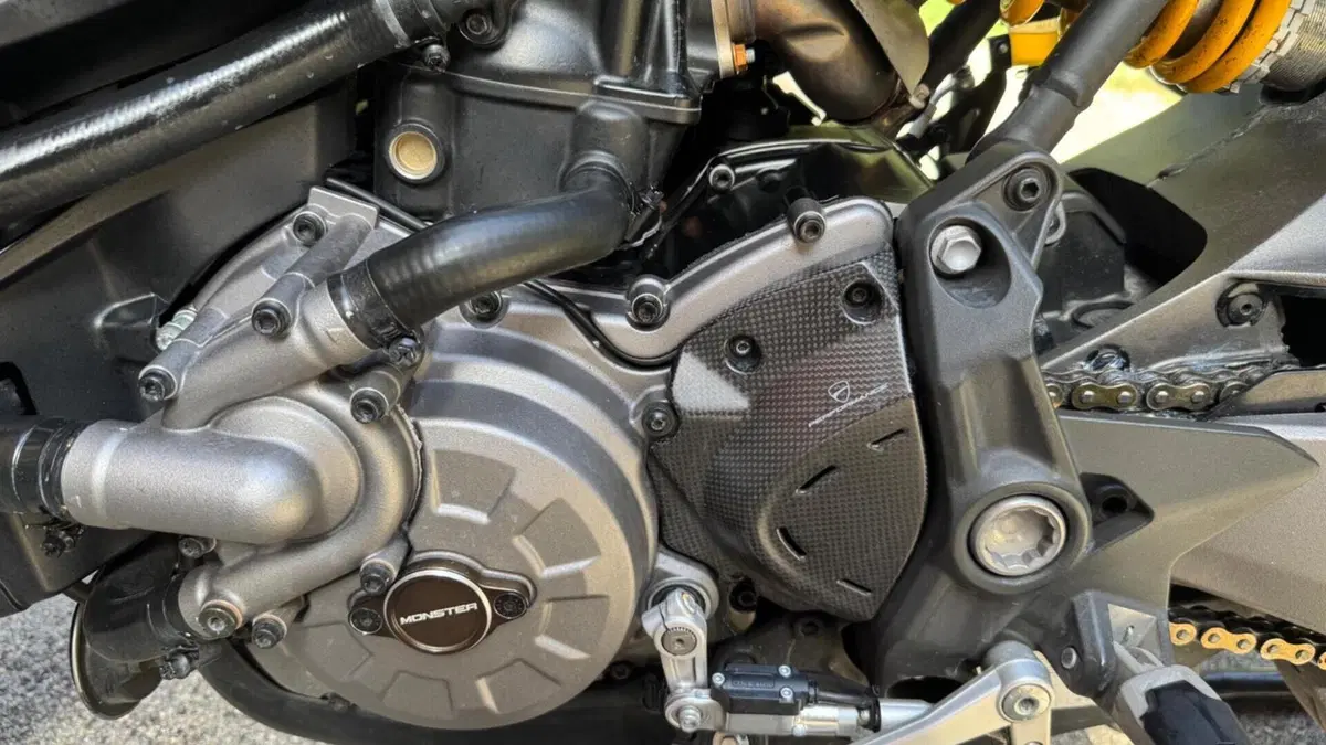 Ducati Monster 821 (2018 - 20)  (10)