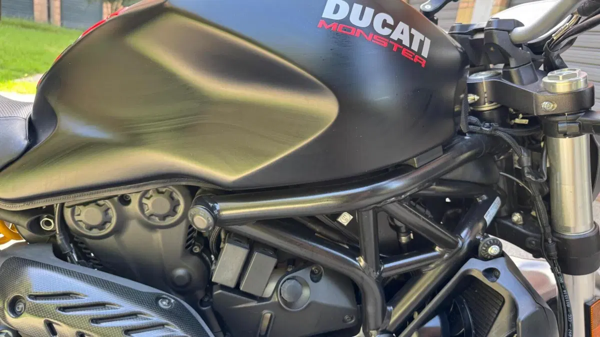 Ducati Monster 821 (2018 - 20)  (14)