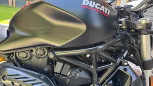 Ducati Monster 821 (2018 - 20)  (14)