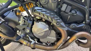 Ducati Monster 821 (2018 - 20)  (15)