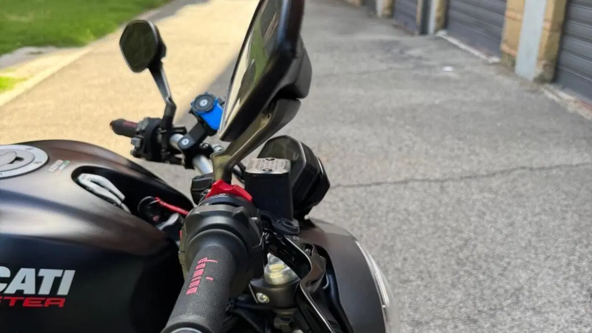Ducati Monster 821 (2018 - 20)  (16)