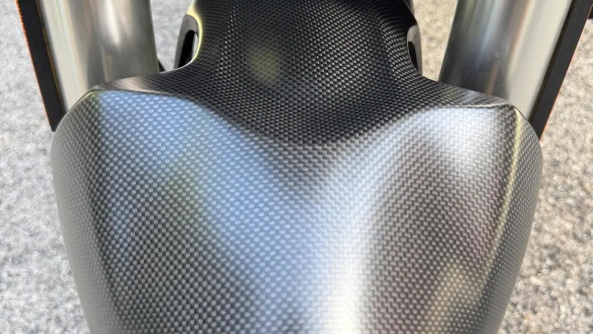 Ducati Monster 821 (2018 - 20)  (17)