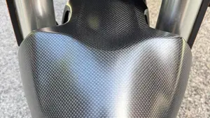 Ducati Monster 821 (2018 - 20)  (17)