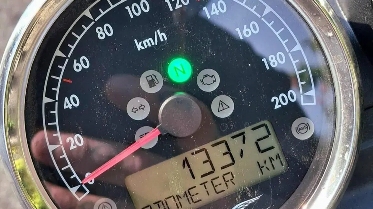Moto Guzzi V7 Stone Special Edition (2022 - 25)  (6)