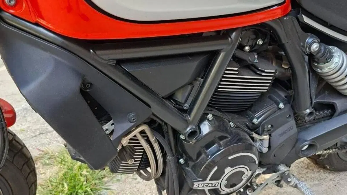 Ducati Scrambler 800 Icon (2017 - 20)  (11)
