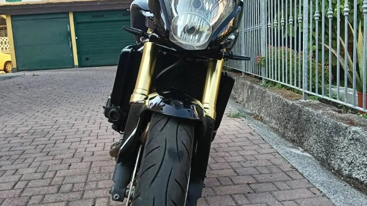 Honda Hornet 600 (2007 - 10)  (2)