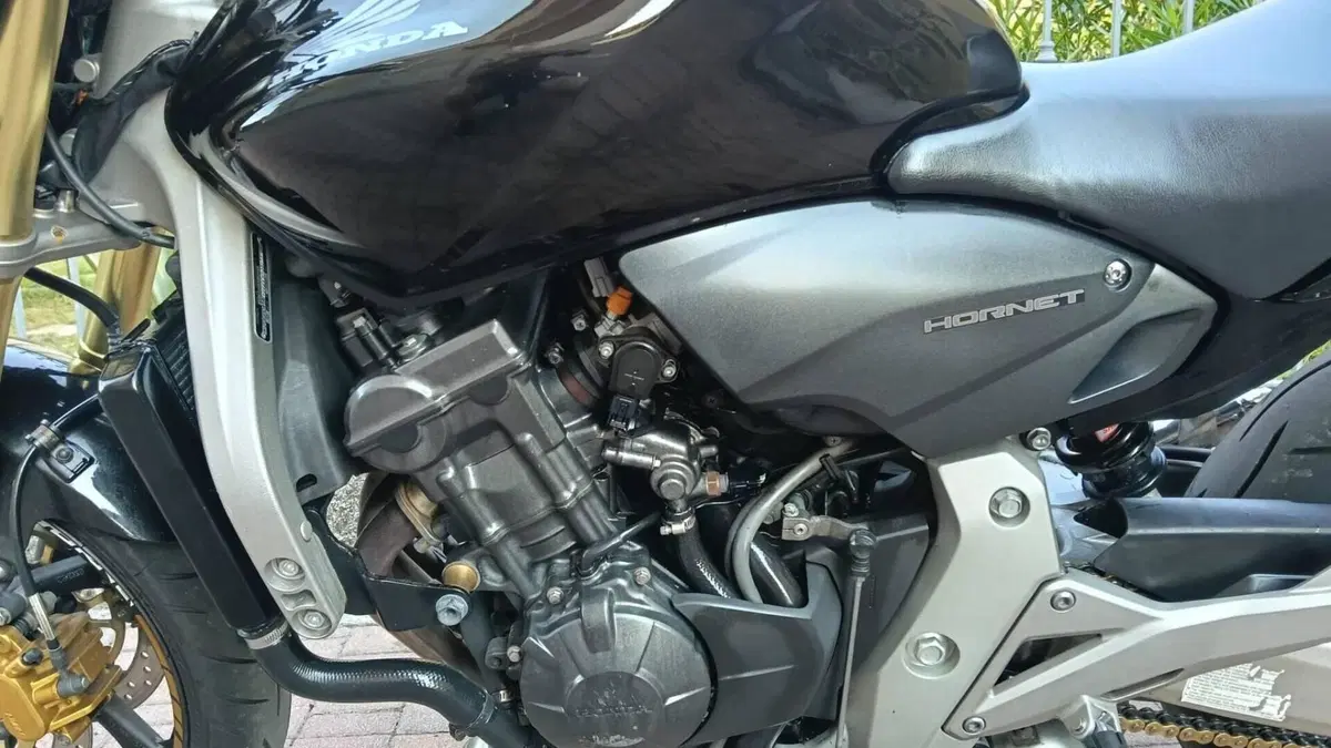 Honda Hornet 600 (2007 - 10)  (11)