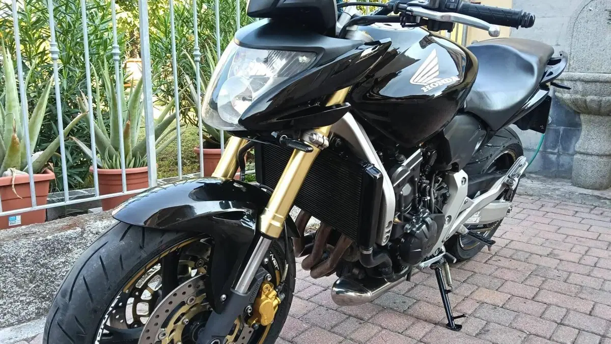 Honda Hornet 600 (2007 - 10)  (15)