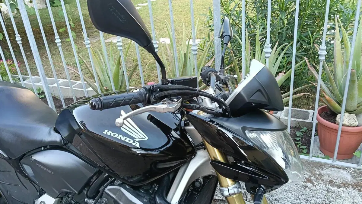 Honda Hornet 600 (2007 - 10)  (16)