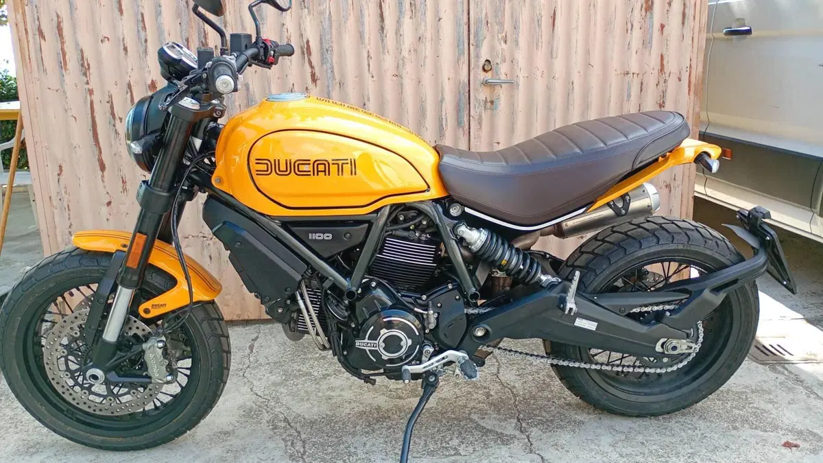 Ducati Scrambler 1100 Tribute Pro (2022 - 24)  (2)