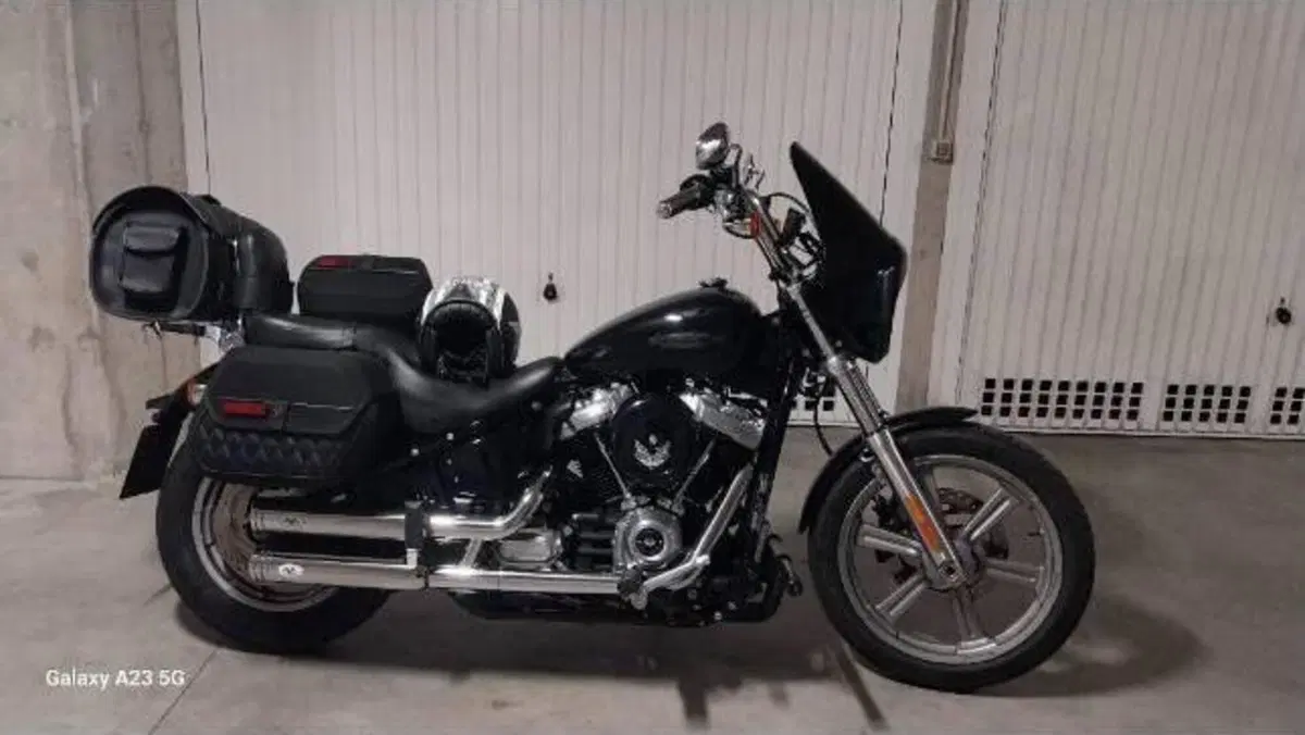 Harley-Davidson Softail Standard (2021 - 25) 