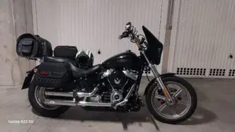 Harley-Davidson Softail Standard (2021 - 25) usata