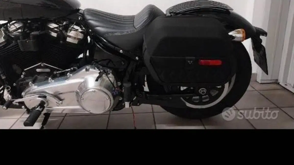 Harley-Davidson Softail Standard (2021 - 25)  (2)