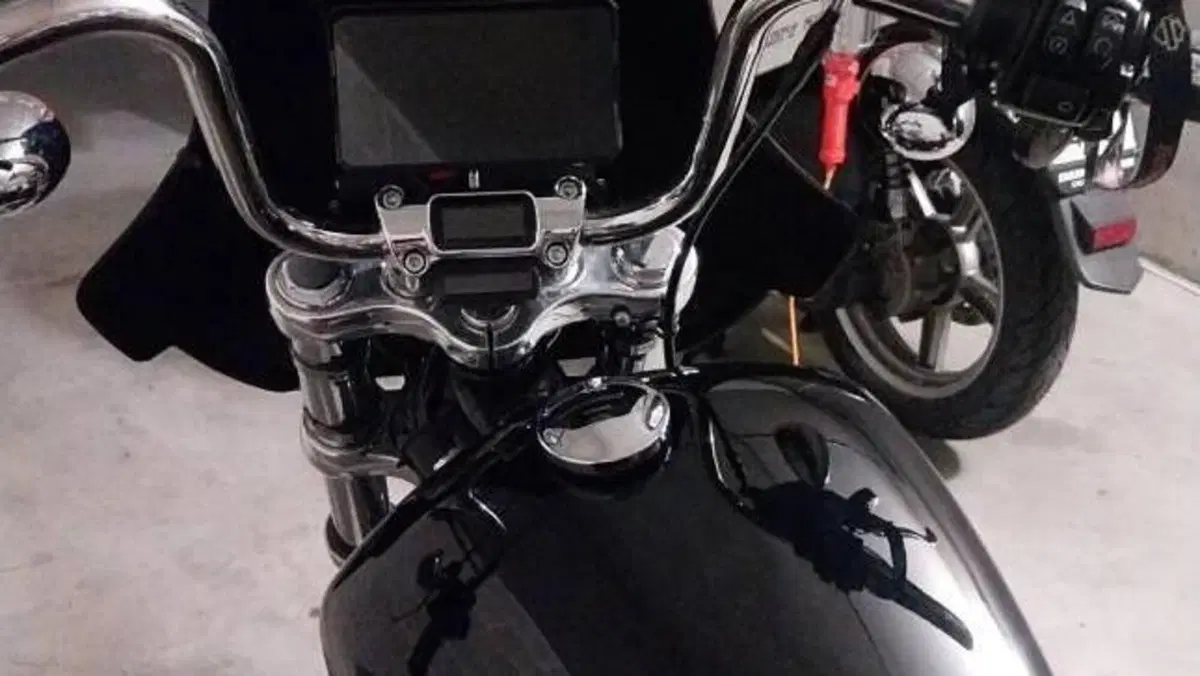 Harley-Davidson Softail Standard (2021 - 25)  (5)