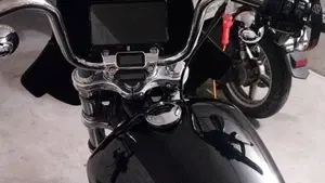 Harley-Davidson Softail Standard (2021 - 25)  (6)
