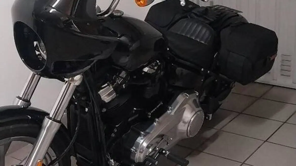 Harley-Davidson Softail Standard (2021 - 25)  (7)