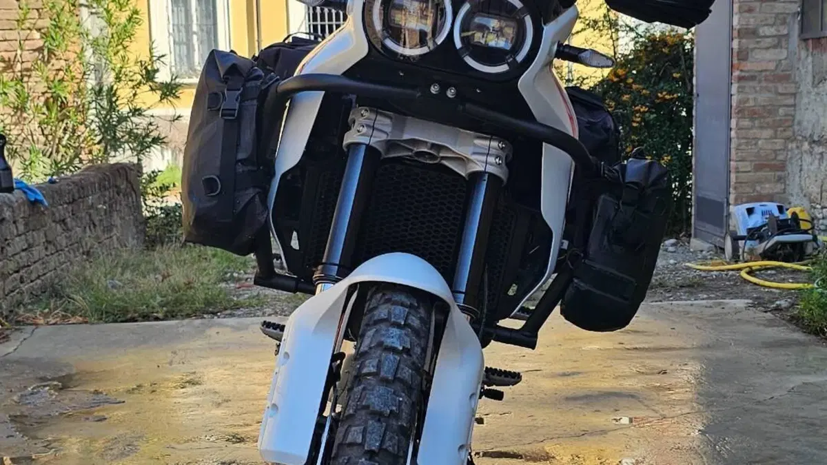 Ducati DesertX (2022 - 25)  (3)
